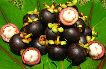 Mangosteen Fruit