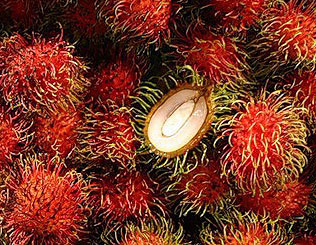 Rambutan fruits